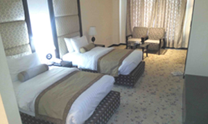 Standard Twin Suite Rooms